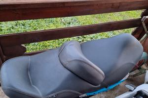 sella Silver Wing o swt