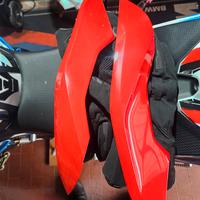 fianchetti originali bmw s1000rr 19/26