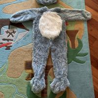 Vestito di carnevale da cane