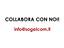 Immagine 23