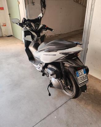 Honda Forza 300 2020