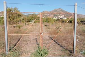 terreno agricolo