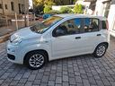 fiat-panda-1-2-lounge-69cv-anno2018-km64000-neopat