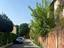 Immagine 15