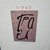 vinile t'pau