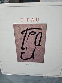 vinile t'pau