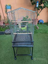 GABBIA VOLIERA PAPPAGALLI 