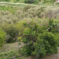 Terreno contrada Isola Montagnareale (ME)