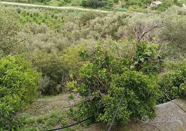 Terreno contrada Isola Montagnareale (ME)