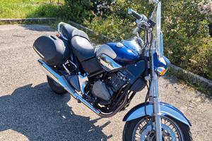 Beta Custom 350