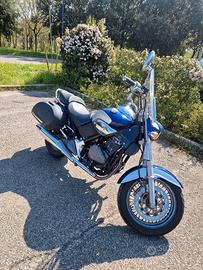 Beta Custom 350