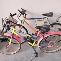2 Mountain bike con cambio shimano