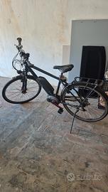 ebike winora