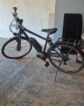 ebike winora