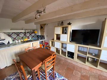 Monolocale ristrutturato immerso nel verde