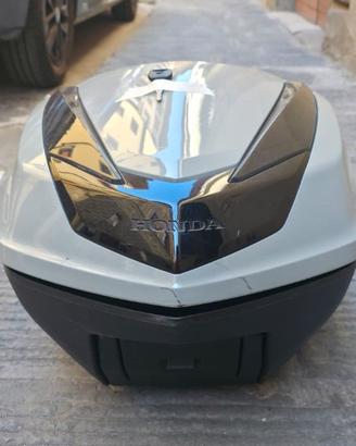 Bauletto SH 2025