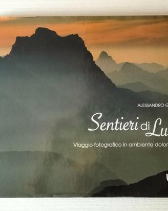Alessandro Gruzza. Sentieri di luce.