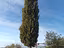 Immagine 7