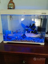 acquario Amtra