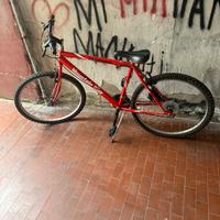 Bici mountainbike