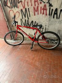 Bici mountainbike