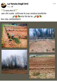 Terreno per orto