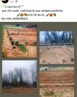 Terreno per orto