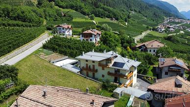 Appartamento Trentino - Val di Sole INVERNO
