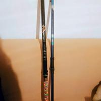 lotto 2 canne da pesca carbonio 