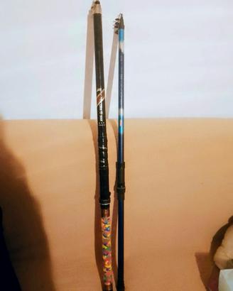 lotto 2 canne da pesca carbonio 