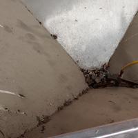 Spandiconcime in acciaio