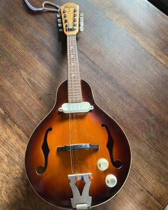 Mandolino Framus Graziella