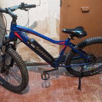 Bicicletta elettrica Argento Performance 