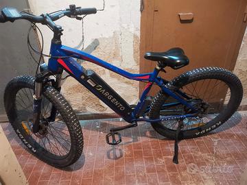 Bicicletta elettrica Argento Performance 