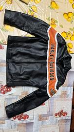 Harley davidson giacca giubbotto
