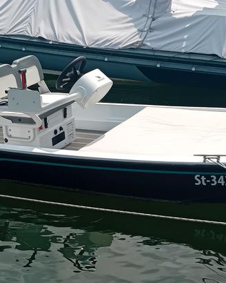 Boston Whaler 15-Barca Usata