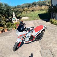 Cagiva Aletta Oro S2 125 - 1987- CONSERVATA