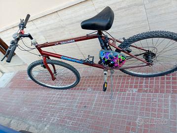 Bicicletta 