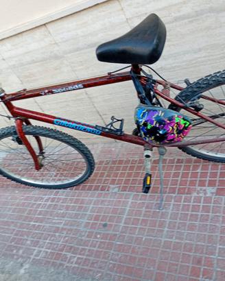 Bicicletta 