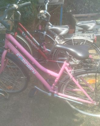 biciclette 