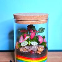 terrarium barattolo 