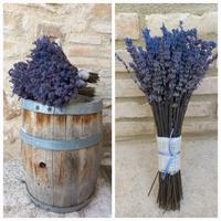 Mazzo di Lavanda essiccata 