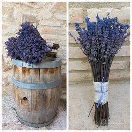 Mazzo di Lavanda essiccata 