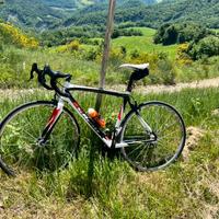 Scapin