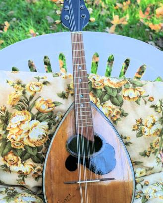 mandolino vintage