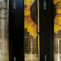 Crucial Ddr4 pro banchi da 32gb