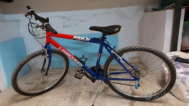 bicicletta mountan bike Lombardo