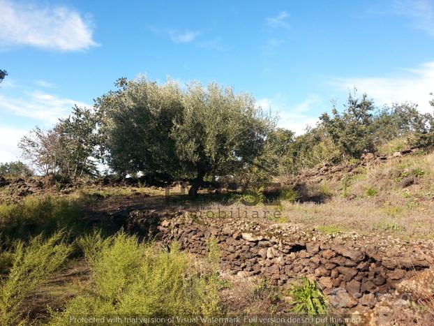 Ragalna - terreno agricolo 6.000 mq