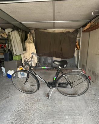 bicicletta da passeggio/da città