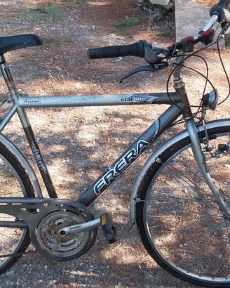 Bici da uomo